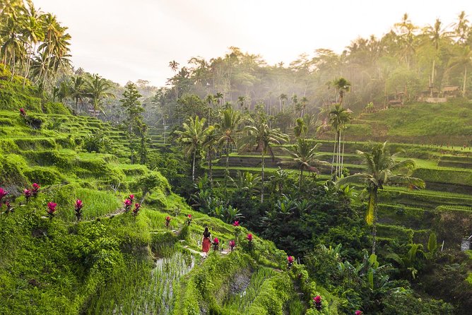 Private Full-Day Tour: Balinese Temples and Rice Terraces - Stop 4: Tegalalang Rice Terraces and the short walk that makes it real