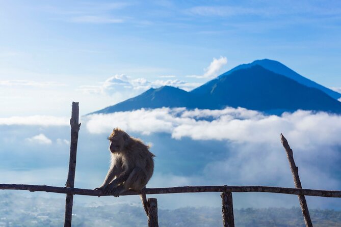 Private Mount Batur Sunrise Trekking Tour - Volcanic-Vent Breakfast: Included Warmth After the Cold Climb