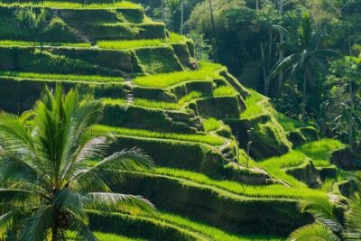 Private Shore Excursion: Customized Best of Bali Tour - Price and Value: What You’re Paying For (and What You’re Not)
