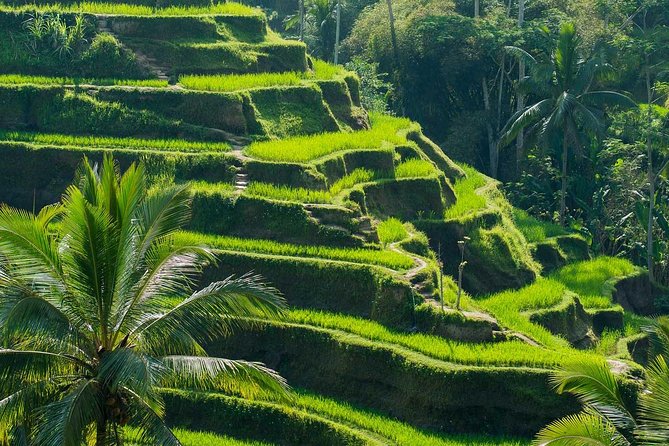Private Shore Excursion: Customized Best of Bali Tour - Price and Value: What You’re Paying For (and What You’re Not)