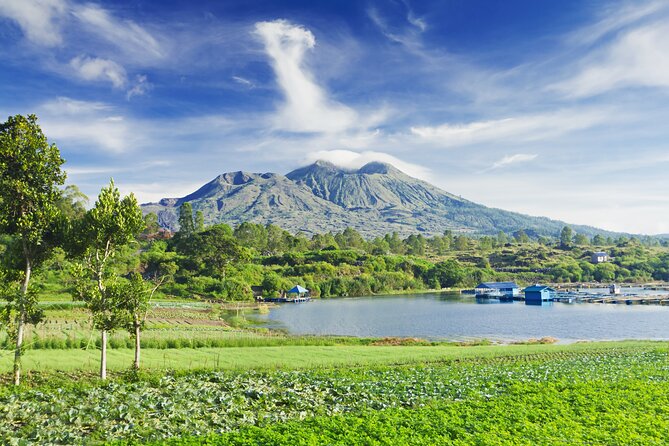 Private Tour: Bali Volcano with Jungle Swing Experience - A smart private day around Ubud and Mount Batur