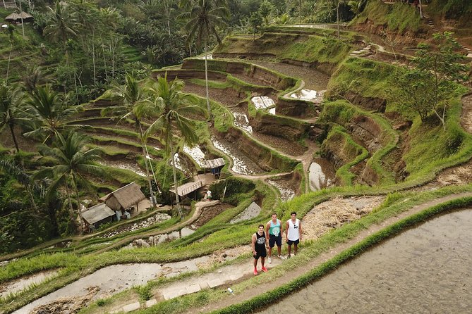 Private Tour: Bali Volcano with Jungle Swing Experience - Price and value: what $55 gets you and why it adds up
