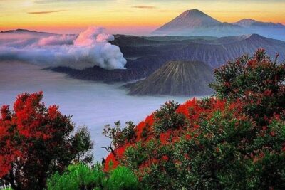 Private Tour : Bromo Ijen Tour From Bali - Crossing from Gilimanuk to Java: the day one reset