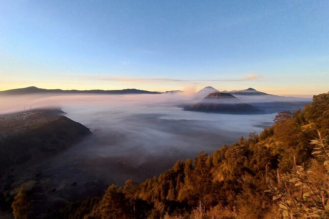 Private Tour : Bromo Ijen Tour From Bali - Who this private tour is best for (and who should think twice)