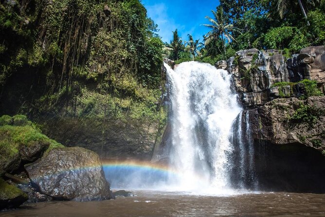 Private Tour To Tibumana Waterfall, rice terraces & Jungle Swing - Key points before you go