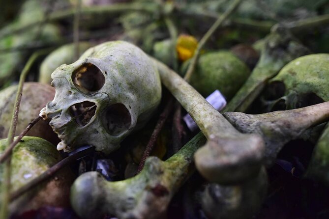 Private Tour to Trunyan Village "Skull Island of Bali" - Trunyan-to-Lunch Transition: Why the Kintamani Break Helps