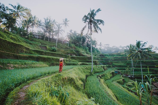 Private Tour: Ubud Highlights - Tirta Empul Temple: Fountains and Blessing Rituals