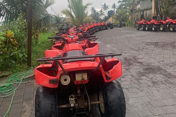 Quadbike Adventure with Tunnel and Waterfall Tour in Bali - Should You Worry About ATV Condition?