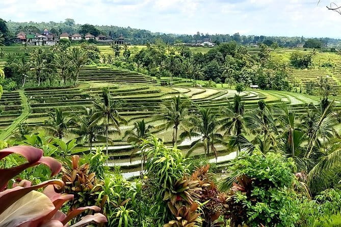 Shore Excursion Cruise Ship from Benoa and Celukan Bawang Port - Price and value: $38.51 for a full island taste