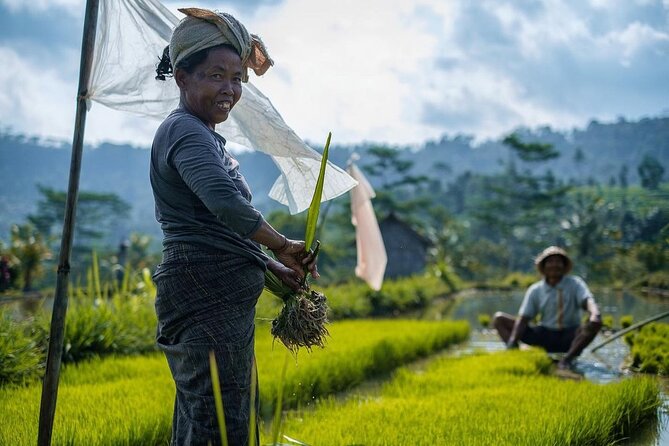 Sidemen Trekking: A Walk from a Different Perspective - The Walk Route: From Pasar Sidemen to Warung Ume Anyar
