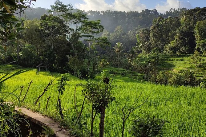 Sidemen Trekking: A Walk from a Different Perspective - Getting There Without Stress: Meeting Point and Transport Reality