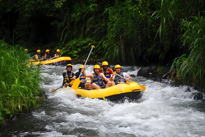 Telaga Waja White Water Rafting - With No Step or Stair : Bali Best Adventures - Price and Value: Why $30 Can Be a Good Deal Here