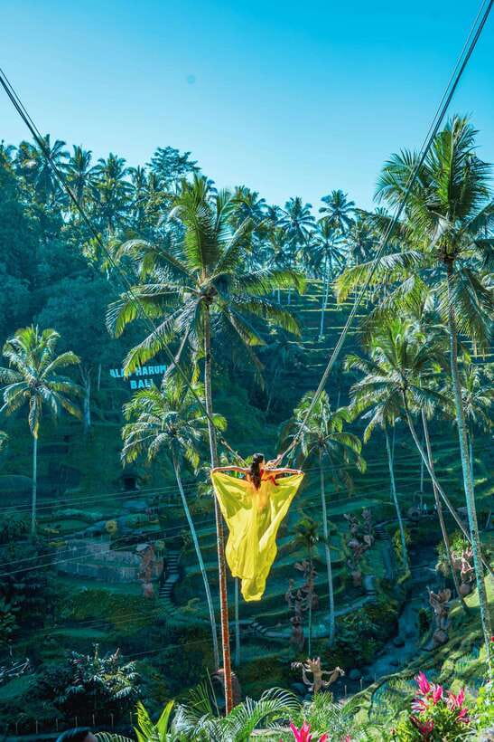 Ubud: Alas Harum Day-Pass, Swing, Sky Bike & Flying Fox - The small practical stuff that makes your day smoother