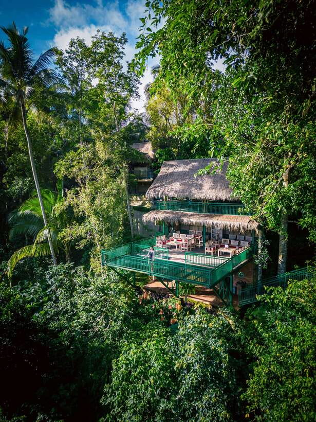 Ubud: Alas Harum Day-Pass, Swing, Sky Bike & Flying Fox - Sky Bike: pedaling on a cable without losing the view