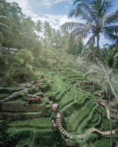 Ubud: Alas Harum Day-Pass, Swing, Sky Bike & Flying Fox - Super Extreme Swing: the 25-meter rush and the photo payoff