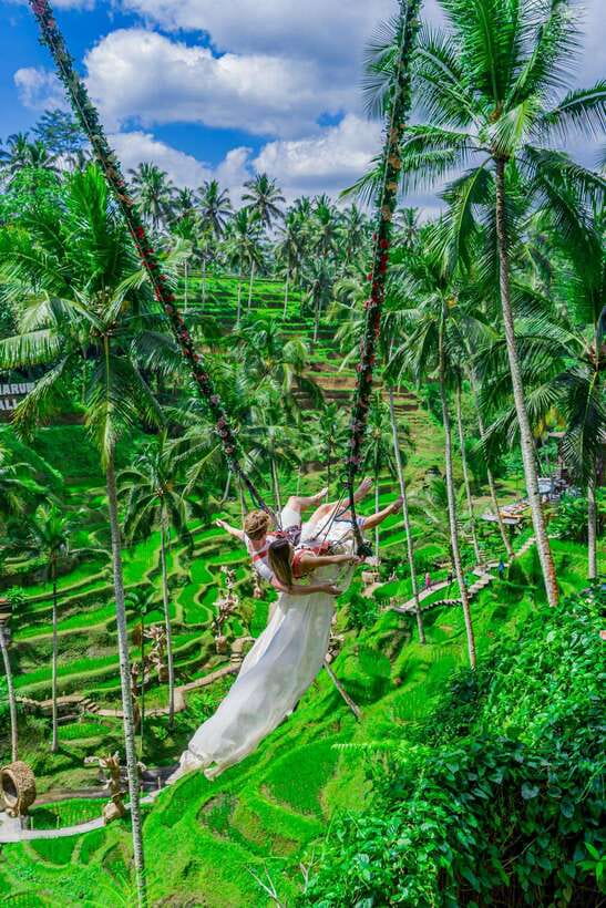 Ubud: Alas Harum Day-Pass, Swing, Sky Bike & Flying Fox - Who this day pass fits best (and who should skip it)