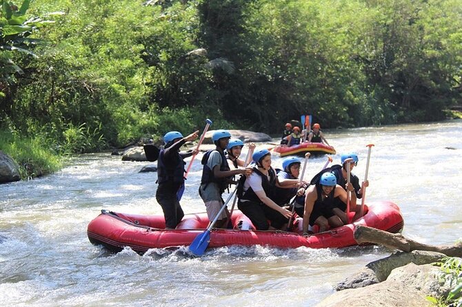 Ubud ATV Quad Bike with Ayung River Rafting Experience - Price and value: what $31 includes, and what costs extra