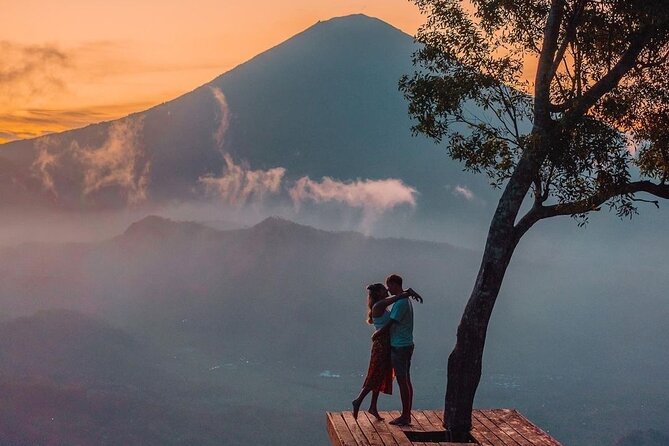 Ubud Bali Driver ( Bali Custom Tour ) - Should You Book This Ubud Bali Driver Tour?