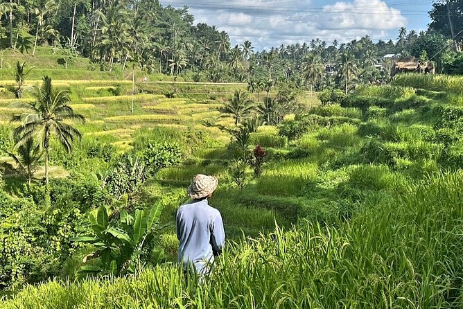 Ubud Bali Driver - Private Driver in Ubud - Why a private Ubud driver beats Bali rideshares