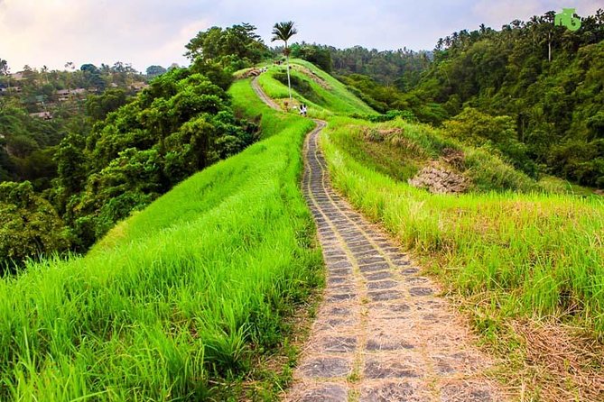 Ubud Countryside Tour: Campuhan Ridge Walk and Rice Terrace - Campuhan Ridge Walk: easy legs, satisfying views