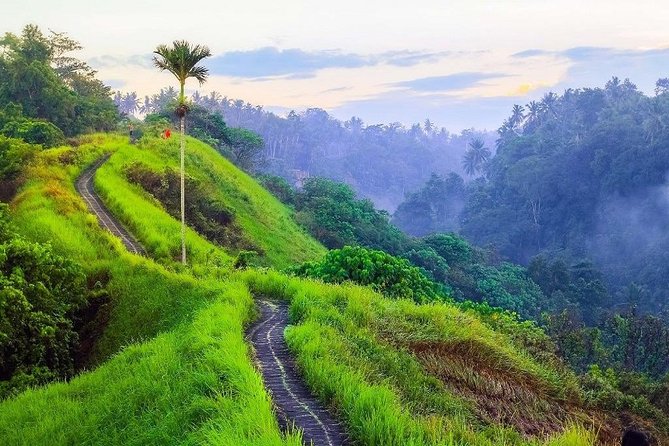 Ubud Countryside Tour: Campuhan Ridge Walk and Rice Terrace - Tirta Empul Temple: sacred springs and the value of going with a guide