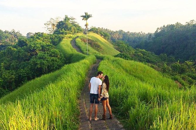 Ubud Countryside Tour: Campuhan Ridge Walk and Rice Terrace - Tegenungan Waterfall: a break that fits the schedule