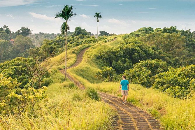 Ubud Countryside Tour: Campuhan Ridge Walk and Rice Terrace - Price and value: is $40 a fair deal for all that?