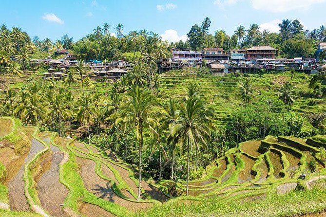 Ubud Countryside Tour: Campuhan Ridge Walk and Rice Terrace - What kind of traveler should choose this day in Ubud?