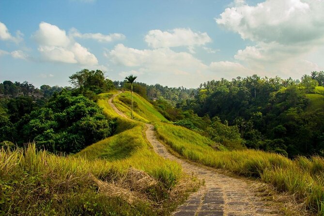 Ubud Countryside Tour: Campuhan Ridge Walk and Rice Terrace - Tegalalang rice terraces: iconic views, plus a real-world donation
