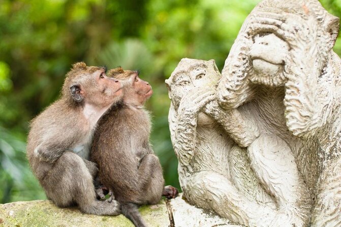 Ubud Customized Full Day Tour - Visit Most favorite In Ubud - Key things to know before you go