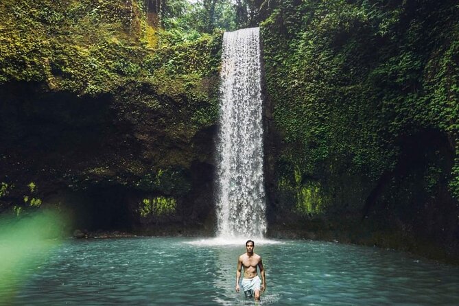 Ubud Customized Full Day Tour - Visit Most favorite In Ubud - Timing, transport, and the lunch break that keeps you moving