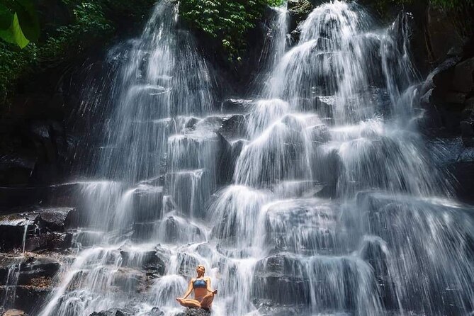 Ubud Customized Full Day Tour - Visit Most favorite In Ubud - Tickets and entry fees: plan for what you’re really paying