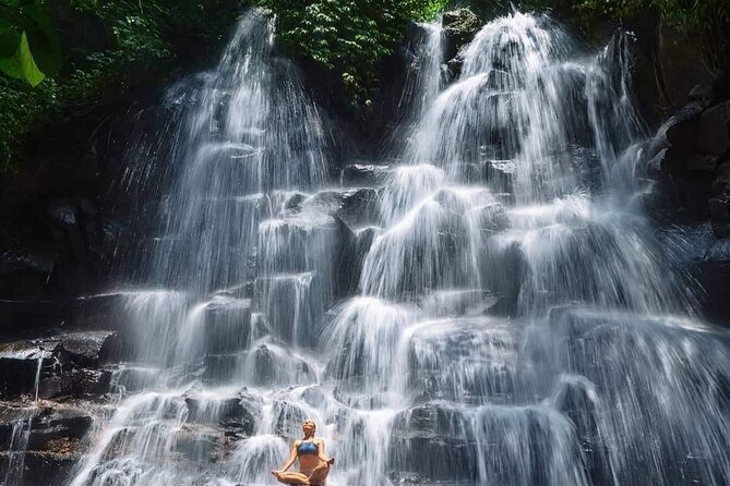Ubud Customized Full Day Tour - Visit Most favorite In Ubud - How customizing six stops changes your whole day
