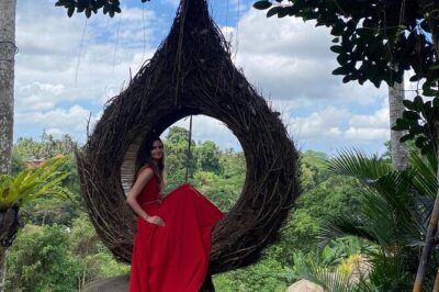Ubud Day Tour - Private Ubud Tour Guide - Best Of Ubud Tour - Price and value: $50 per group can be a bargain