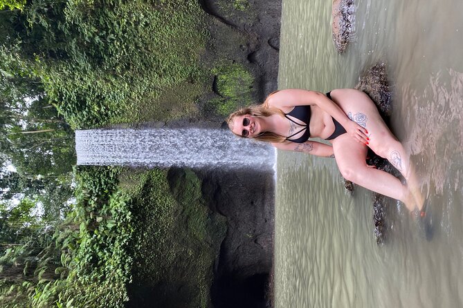 Ubud Day Tour - Private Ubud Tour Guide - Best Of Ubud Tour - Stop 2: Tegalalang Rice Terraces and the subak irrigation system