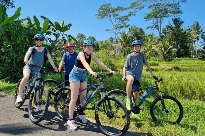 Ubud: Downhill Cycling with Volcano, Rice Terraces and Meal - Why downhill cycling from Mount Batur feels like a cheat code in Ubud