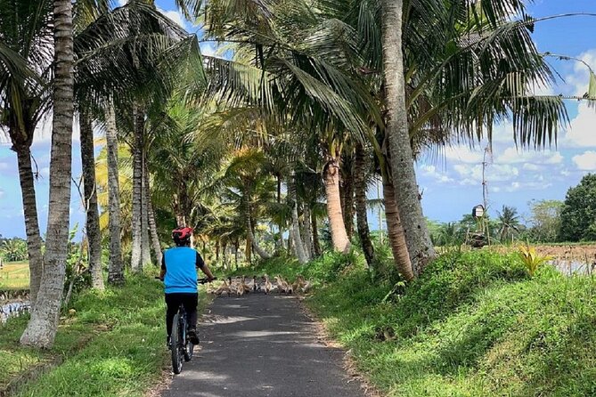 Ubud: Downhill Cycling with Volcano, Rice Terraces and Meal - Stop 2: Manukaya school visits, family compounds, and temples (2.5 hours)