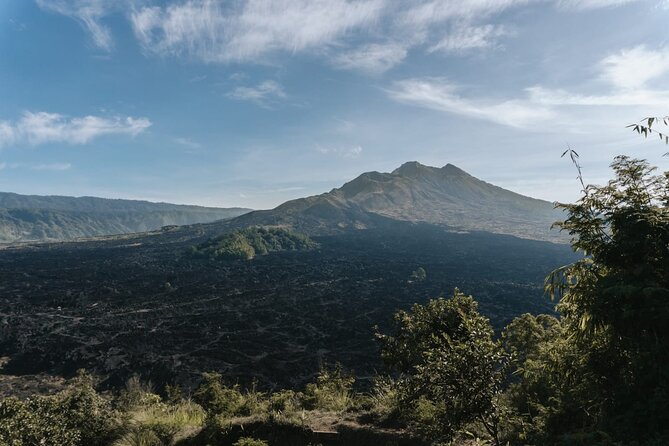 Ubud: Downhill Cycling with Volcano, Rice Terraces and Meal - Price and what you actually get for $36.66
