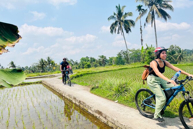 Ubud eBikes Tour to Tegallalang Rice Terrace - Meeting Point: How the Day Starts at eBikes Ubud Tour