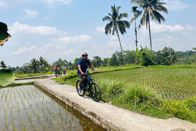Ubud eBikes Tour to Tegallalang Rice Terrace - The Ride Out: Gentle Speed Through Real Village Life