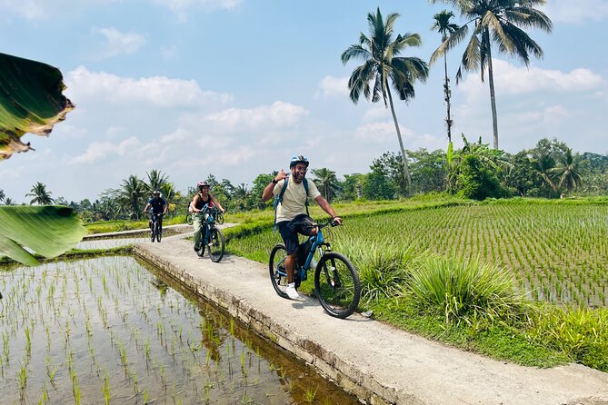 Ubud eBikes Tour to Tegallalang Rice Terrace - Petulu to Tegallalang: Getting the Photos Without the Crowd Crush