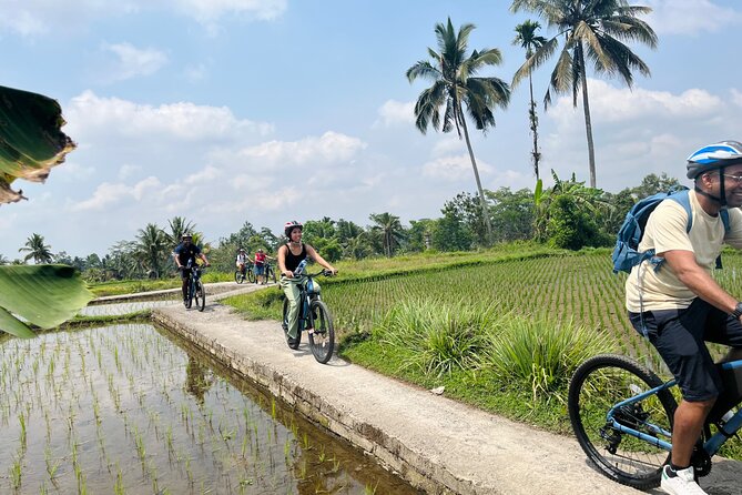 Ubud eBikes Tour to Tegallalang Rice Terrace - The Main Event: Tegallalang Rice Terrace Lunch (About 45 Minutes)