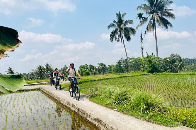 Ubud eBikes Tour to Tegallalang Rice Terrace - Coffee and Tea Tasting: A Final Culture-Friendly Stop