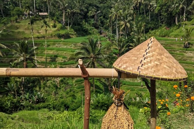 Ubud Half Day Zipline and Jungle Swing - Ubud Rice Terraces and Irrigation Talk: What You’re Looking At (And Why)