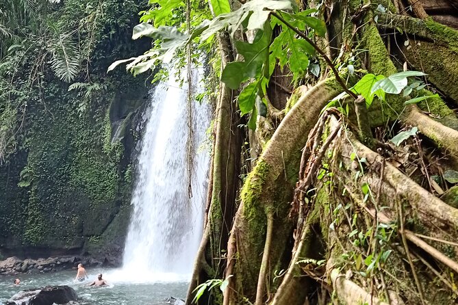 Ubud Half Day Zipline and Jungle Swing - Coffee and Tea Plantation: A Calm Finish After the Action