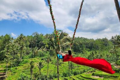 Ubud Half Day Zipline and Jungle Swing - The Zipline Over Rice Fields: Short, But With Safety and View Payoff