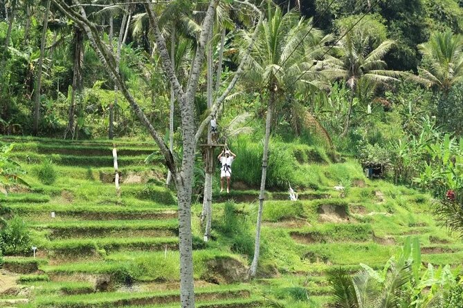 Ubud Half Day Zipline and Jungle Swing - Price and Value of This $69.80 Half-Day Combo