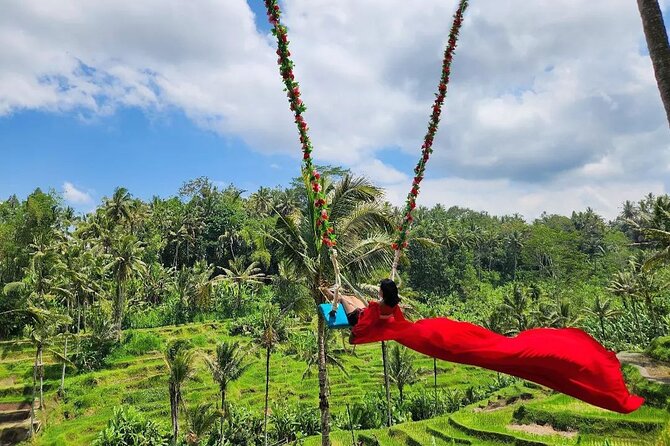 Ubud Half Day Zipline and Jungle Swing - The Zipline Over Rice Fields: Short, But With Safety and View Payoff