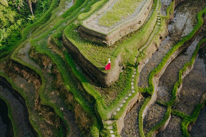 UBUD Instagram Spot Tour with Photographer - Tegalalang rice terraces: iconic views, muddy stairs
