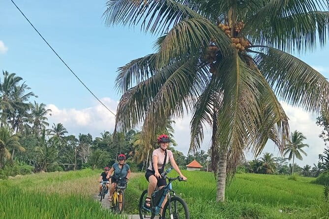 Ubud : Kintamani Downhill Cycling Tour with Lunch - Why This Ubud–Kintamani Bike Day Feels More Local